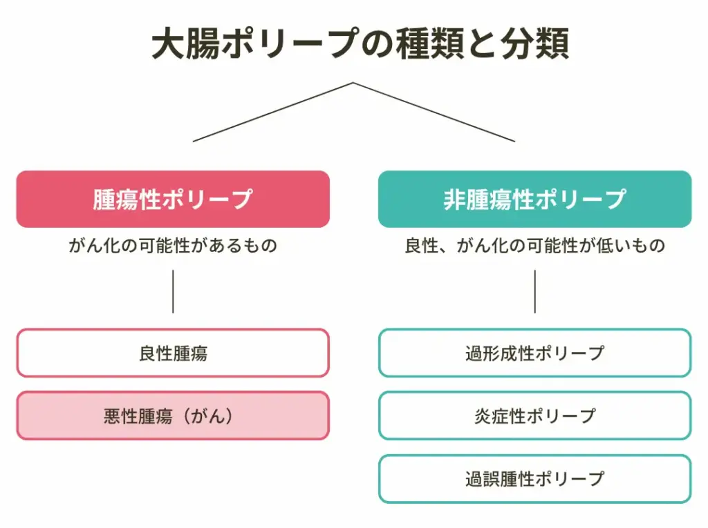 大腸ポリープの種類と分類