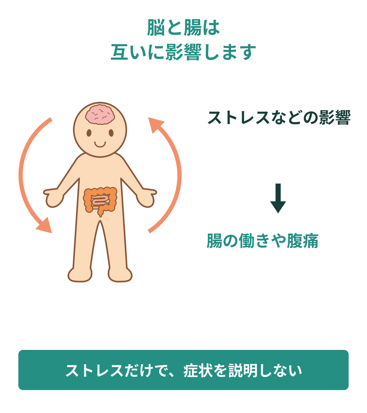 脳と腸は互いに影響します。ストレスなどの影響。腸の働きや腹痛。ストレスだけで、症状を説明しない。