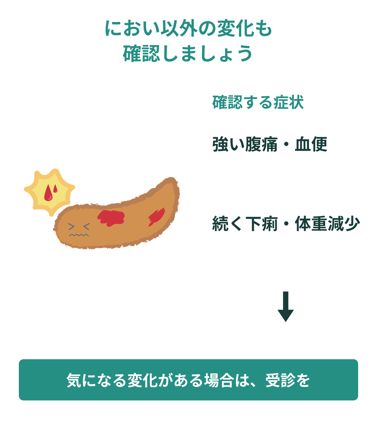 におい以外の変化も確認しましょう。確認する症状。強い腹痛・血便。続く下痢・体重減少。気になる変化がある場合は、受診を。
