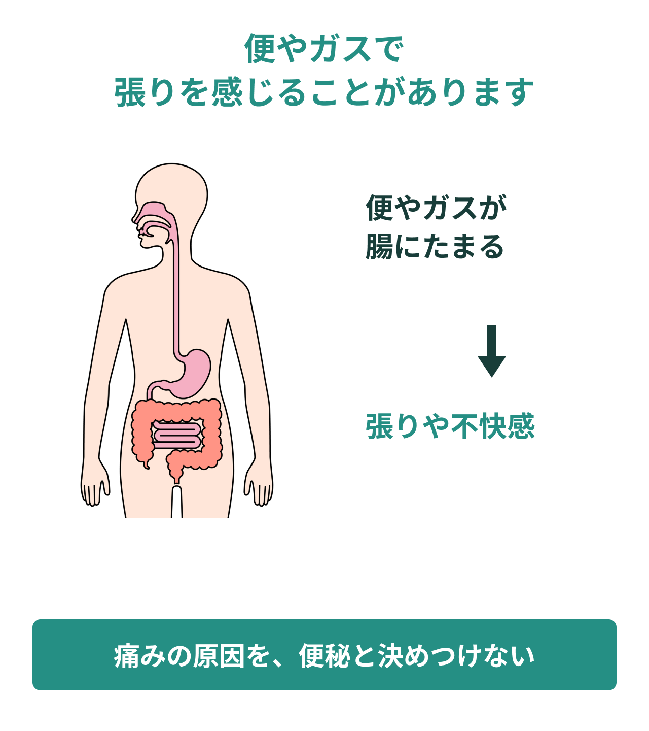 便やガスで張りを感じることがあります。便やガスが腸にたまる。張りや不快感。痛みの原因を、便秘と決めつけない。