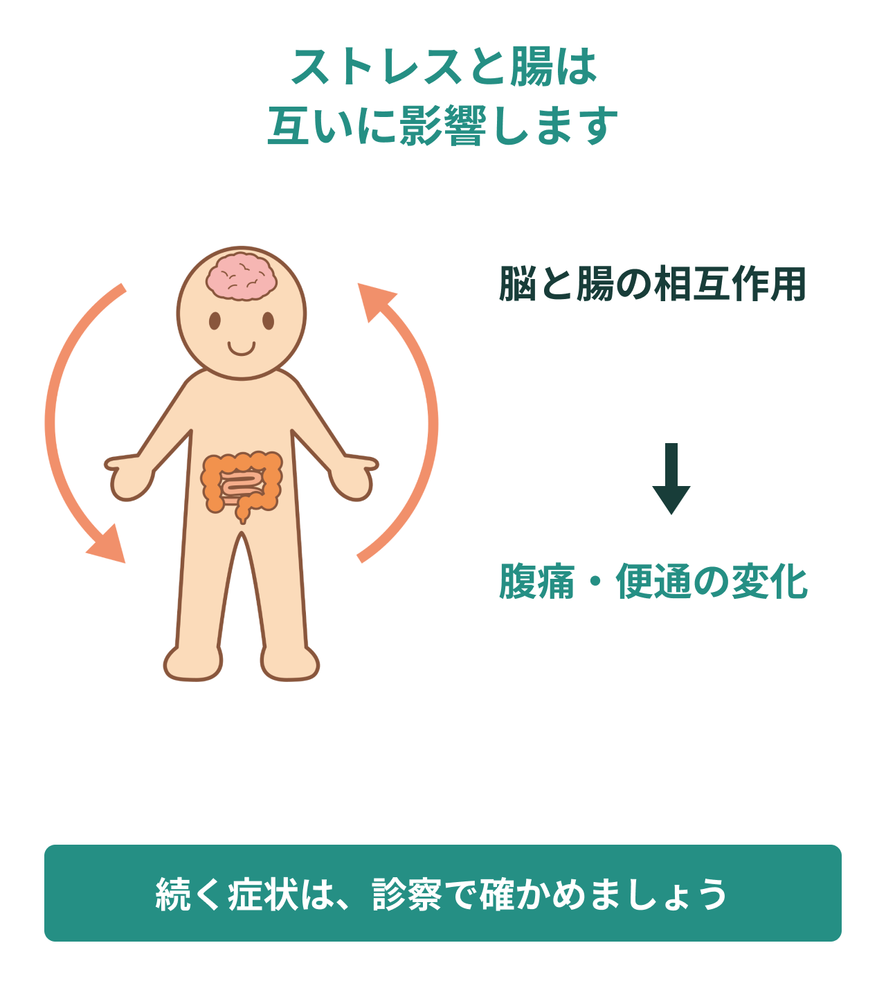 ストレスと腸は互いに影響します。脳と腸の相互作用。腹痛・便通の変化。続く症状は、診察で確かめましょう。