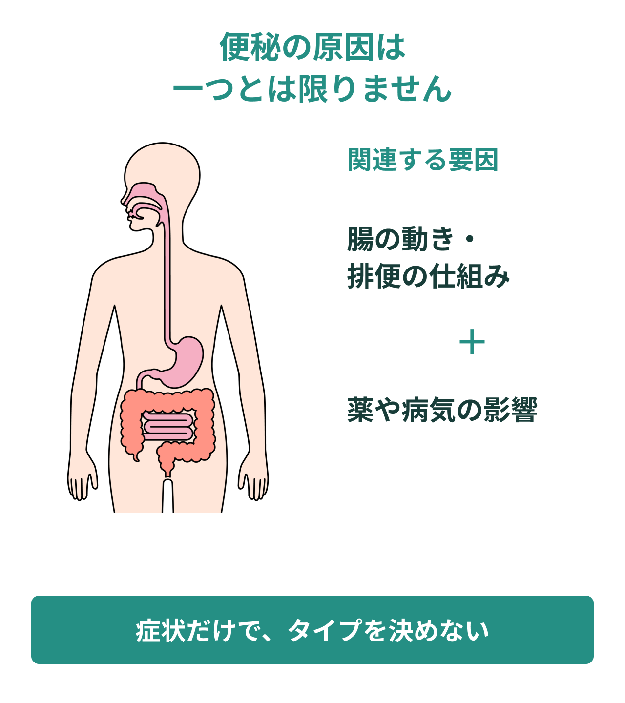便秘の原因は一つとは限りません。関連する要因。腸の動き・排便の仕組み。薬や病気の影響。症状だけで、タイプを決めない。
