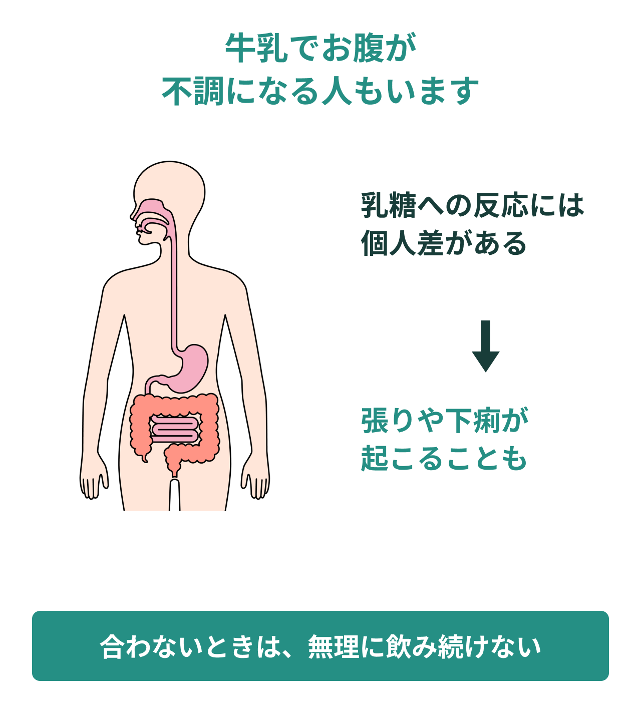 牛乳でお腹が不調になる人もいます。乳糖への反応には個人差がある。張りや下痢が起こることも。合わないときは、無理に飲み続けない。