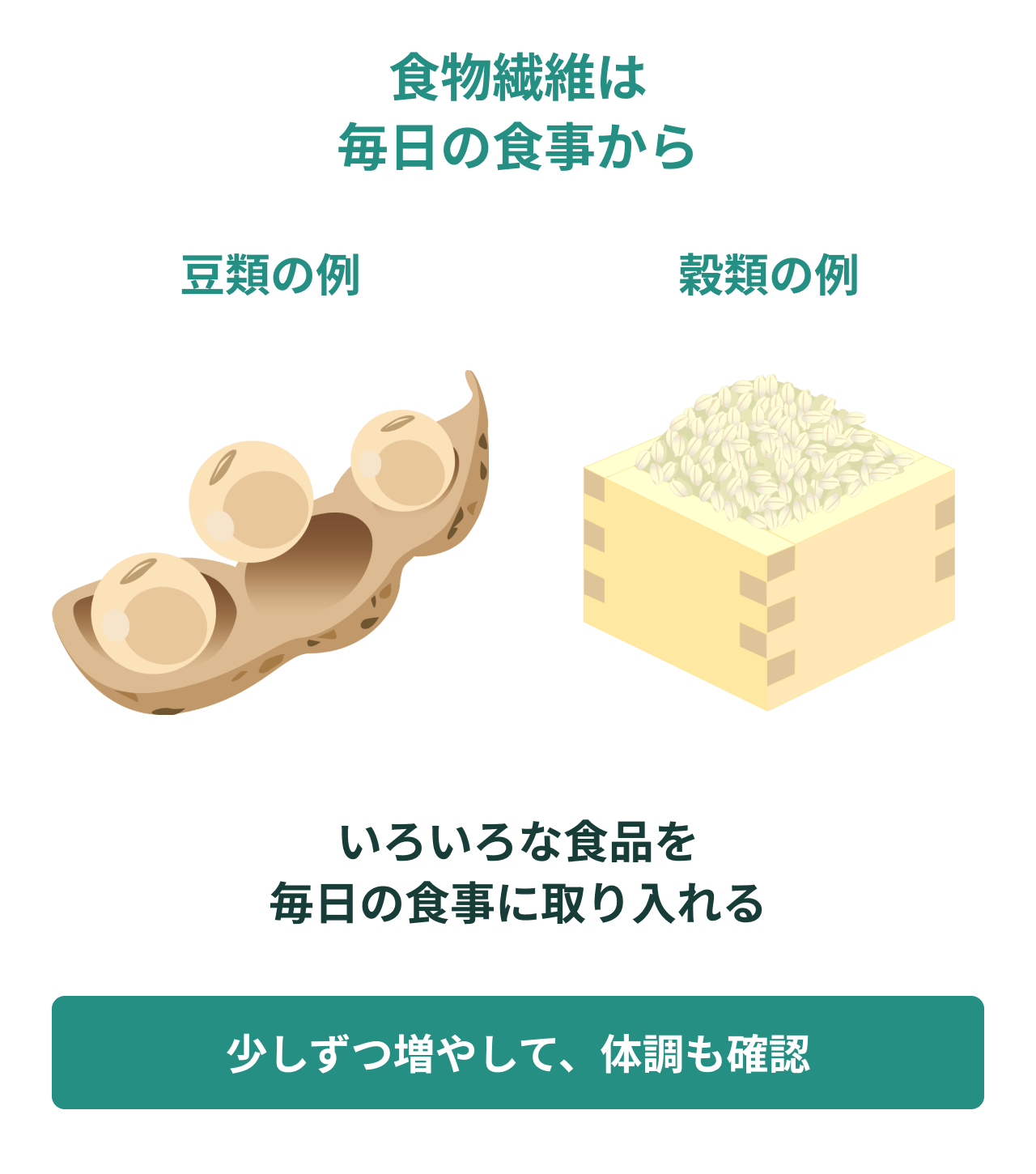食物繊維は毎日の食事から。豆類の例。穀類の例。いろいろな食品を毎日の食事に取り入れる。少しずつ増やして、体調も確認。