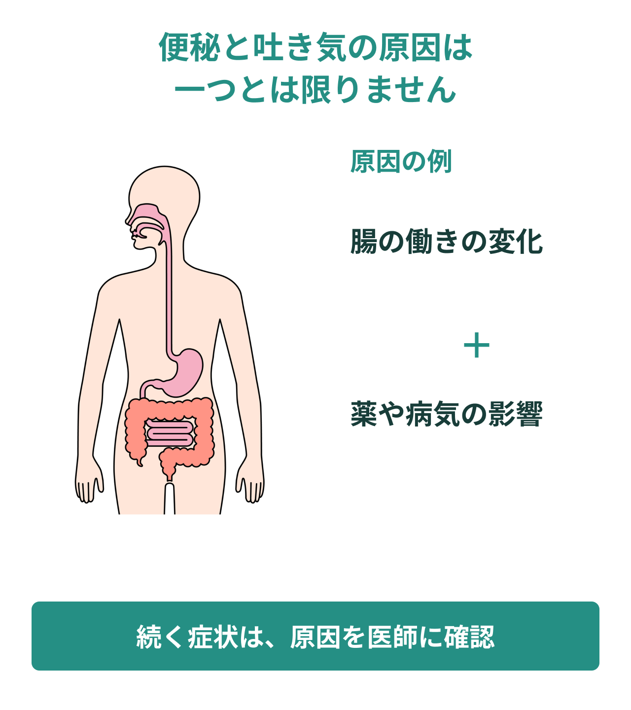 便秘と吐き気の原因は一つとは限りません。腸の働きの変化、薬や病気の影響。続く症状は、原因を医師に確認。