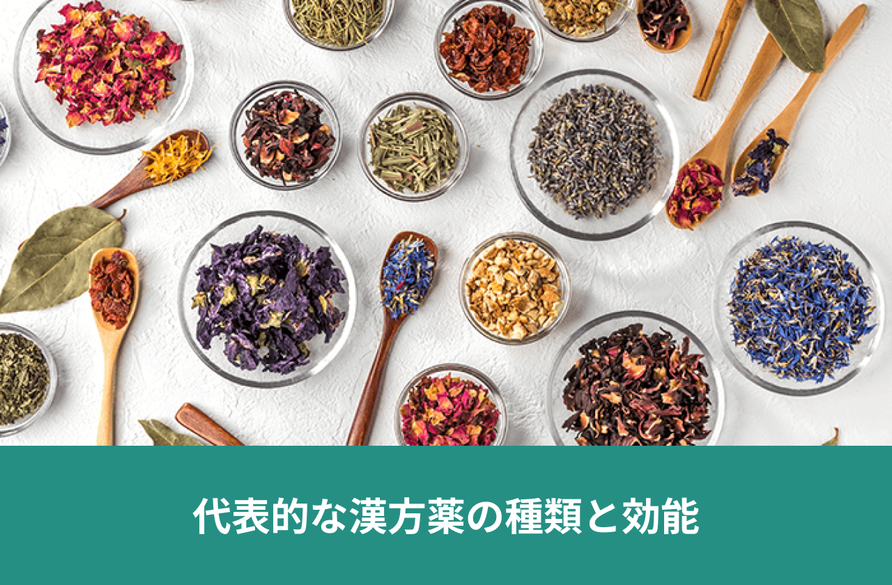 代表的な漢方薬の種類と効能。複数の器に並べたさまざまな生薬。
