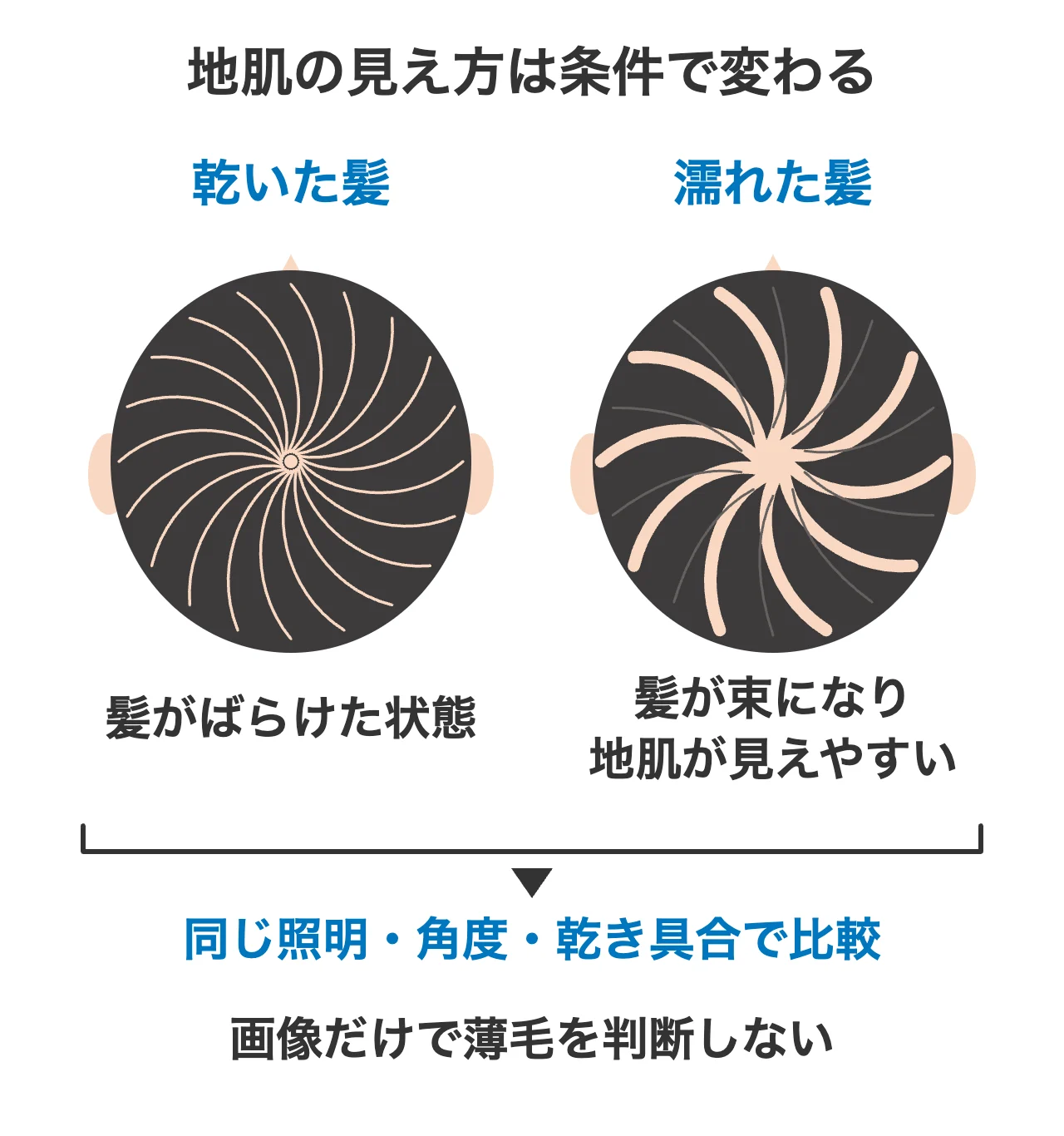 地肌の見え方は条件で変わる