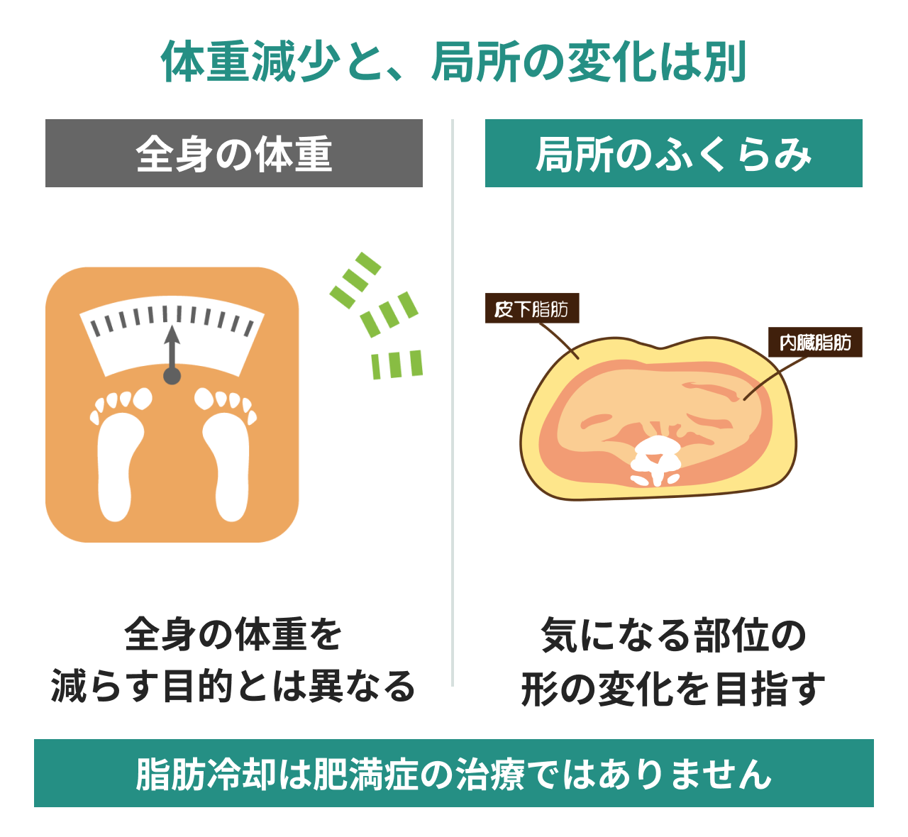 体重を減らす目的と局所のふくらみを整える目的の違いを、体重計と腹部断面で比較。脂肪冷却は肥満症の治療ではないと説明。